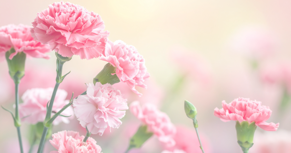 天使ママ グリーフケア 流産 死産 心のケア カウンセリング