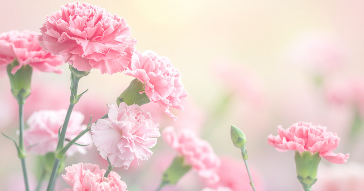 天使ママ グリーフケア 流産 死産 心のケア カウンセリング